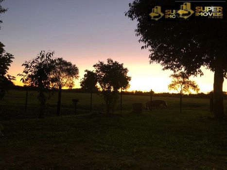 Foto 1 do(a) Fazenda / Sítio / Chácara false à venda em Povo Novo, Rio Grande