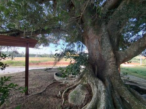 Foto 41 do(a) Terreno false à venda em Stella Maris, Alvorada