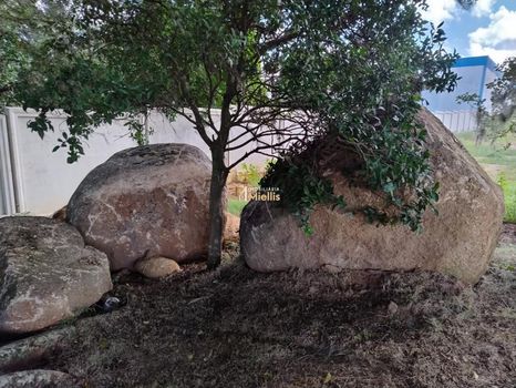 Foto 43 do(a) Terreno false à venda em Stella Maris, Alvorada