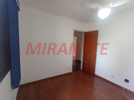 Foto 13 do(a) Apartamento de 3 quartos para alugar em Santa Teresinha, São Paulo
