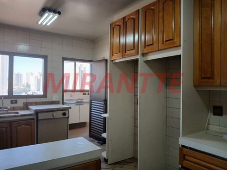 Foto 11 do(a) Apartamento de 3 quartos à venda em Alto da Lapa, São Paulo