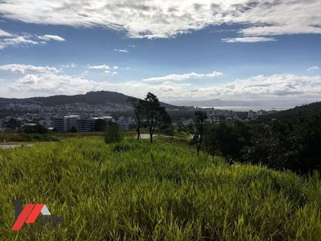 Foto 15 do(a) Terreno false à venda em Itacorubi, Florianópolis