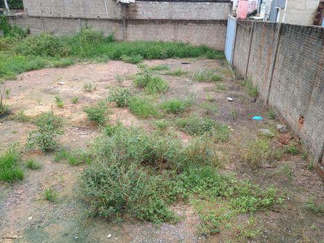 Foto 6 do(a) Terreno false à venda em null, Paripueira