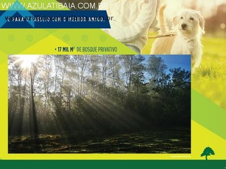 Foto 23 do(a) Casa de 2 quartos à venda em Caetetuba, Atibaia