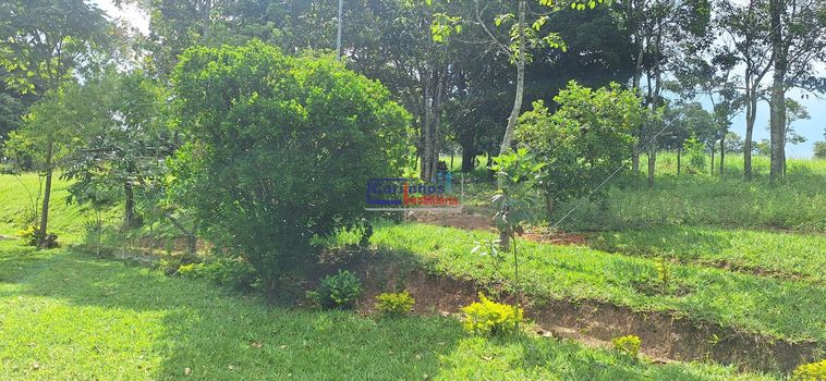Foto 47 do(a) Fazenda / Sítio / Chácara de 4 quartos à venda em null, Mateus Leme