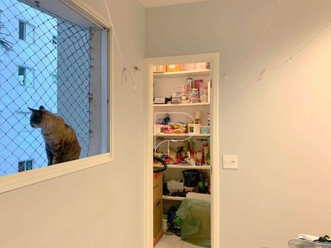 Foto 9 do(a) Apartamento de 3 quartos à venda em Cidade São Francisco, São Paulo