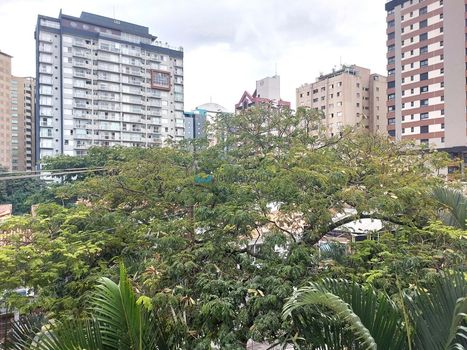 Foto 28 do(a) Apartamento de 3 quartos à venda em Indianópolis, São Paulo