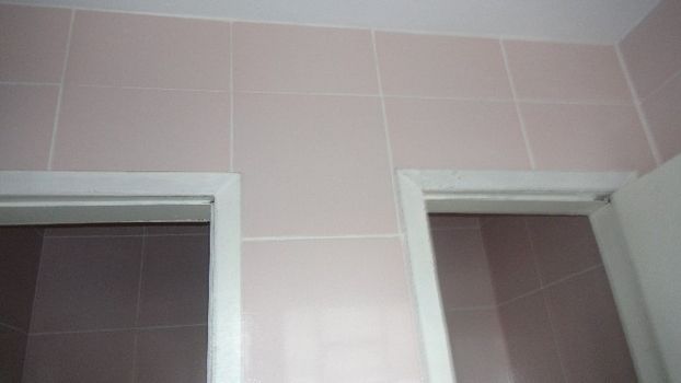 Foto 7 do(a) Edifício Inteiro false à venda em Passo do Feijó, Alvorada