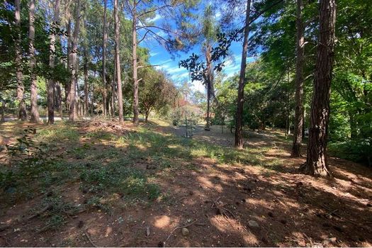 Foto 4 do(a) Fazenda / Sítio / Chácara de 5 quartos à venda em Campo Novo, Bragança Paulista