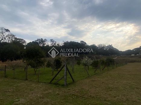 Foto 9 do(a) Fazenda / Sítio / Chácara de 1 quartos à venda em null, Canela