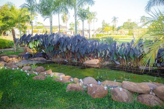 Foto 10 do(a) Terreno false à venda em Água Seca, Piracicaba