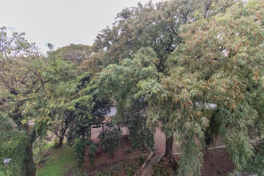 Foto 41 do(a) Cobertura de 3 quartos à venda em Menino Deus, Porto Alegre