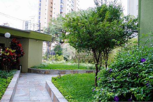 Foto 14 do(a) Apartamento de 2 quartos à venda em Vila Mascote, São Paulo