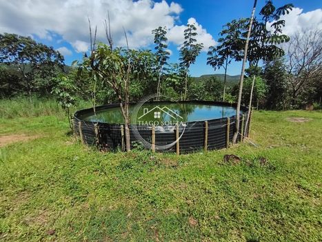 Foto 4 do(a) Fazenda / Sítio / Chácara de 4 quartos à venda em Área Rural de Palmas, Palmas