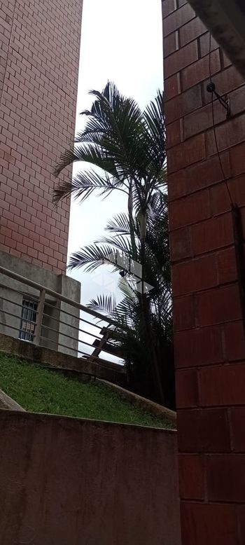 Foto 22 do(a) Apartamento de 2 quartos à venda em Jardim Valéria, Guarulhos