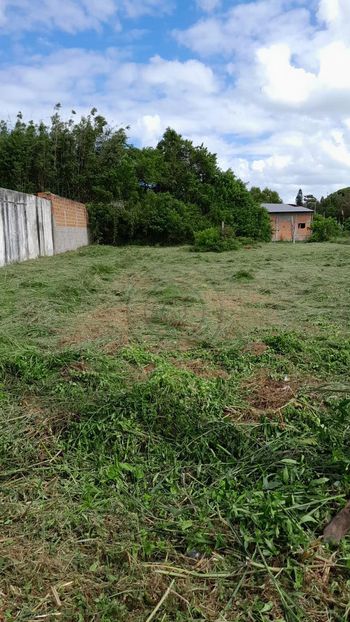 Foto 4 do(a) Terreno false à venda em Bolaxa, Rio Grande