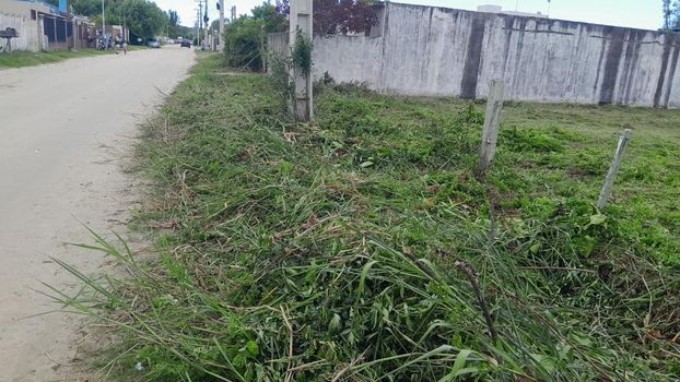 Foto 2 do(a) Terreno false à venda em Bolaxa, Rio Grande
