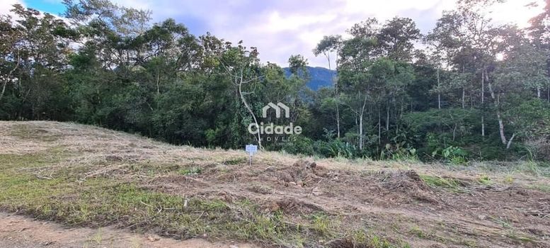 Foto 3 do(a) Fazenda / Sítio / Chácara false à venda em null, Schroeder