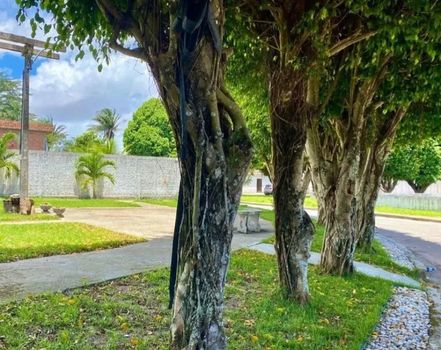 Foto 6 do(a) Casa em Condomínio de 5 quartos à venda em Santa Amélia, Maceió