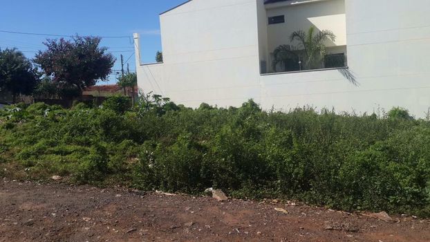 Foto 6 do(a) Terreno false à venda em Vila São Paulo, Araçatuba
