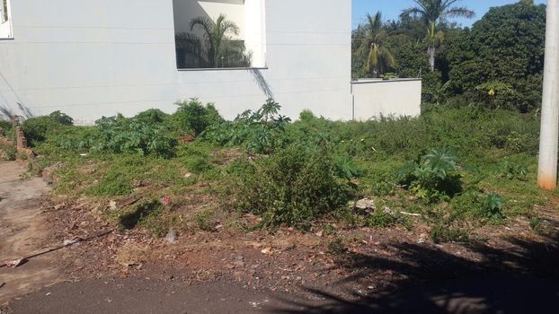 Foto 2 do(a) Terreno false à venda em Vila São Paulo, Araçatuba