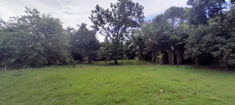 Foto 39 do(a) Casa de 3 quartos à venda em Jardim Novo Mundo, Sorocaba