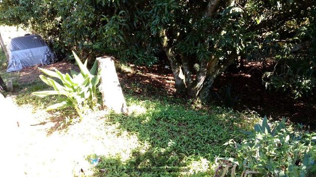 Foto 4 do(a) Terreno false à venda em null, Serra Negra
