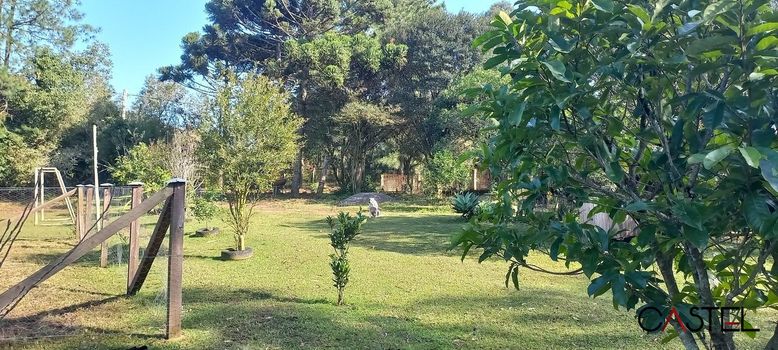 Foto 6 do(a) Fazenda / Sítio / Chácara de 3 quartos à venda em Tijuca, Alvorada