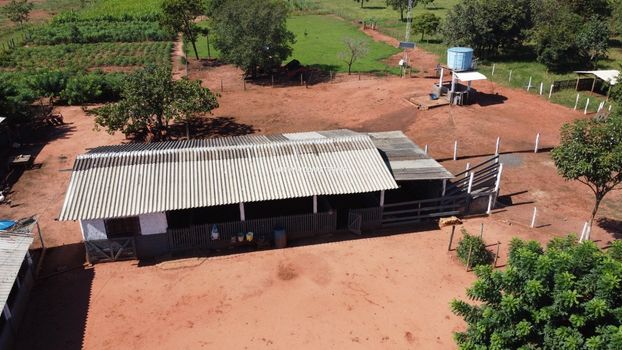 Foto 4 do(a) Fazenda / Sítio / Chácara de 5 quartos à venda em Conjunto José Abrão, Campo Grande