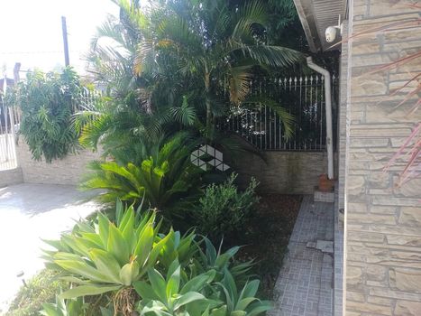 Foto 2 do(a) Terreno false à venda em Salgado Filho, Gravataí