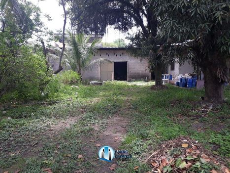 Foto 19 do(a) Galpão / Depósito / Armazém / Pavilhão de 1 quartos à venda em Chácaras Rio-Petrópolis, Duque de Caxias