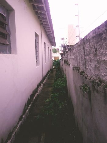 Foto 1 do(a) Casa de 5 quartos à venda em Setor Central, Goiânia