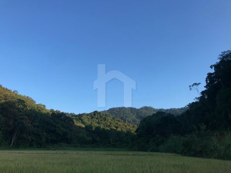 Foto 1 do(a) Terreno false à venda em Ribeirão Cavalo, Jaraguá do Sul