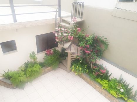 Foto 45 do(a) Casa de 3 quartos à venda em Água Rasa, São Paulo