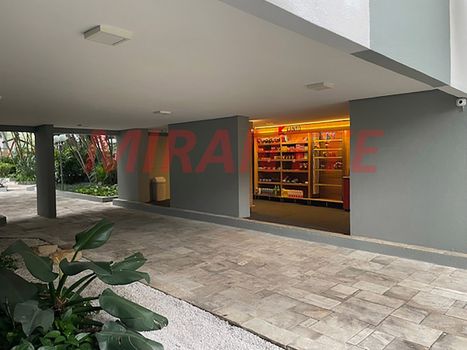 Foto 12 do(a) Apartamento de 3 quartos à venda em Jardim das Laranjeiras, São Paulo