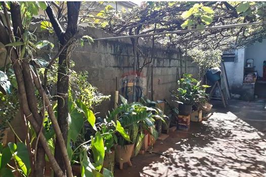Foto 18 do(a) Casa de 5 quartos à venda em Alto do Ipiranga, Ribeirão Preto