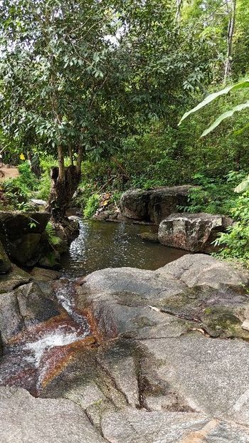 Foto 7 do(a) Fazenda / Sítio / Chácara de 6 quartos à venda em Gavião, Maranguape