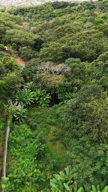 Foto 5 do(a) Fazenda / Sítio / Chácara de 6 quartos à venda em Gavião, Maranguape
