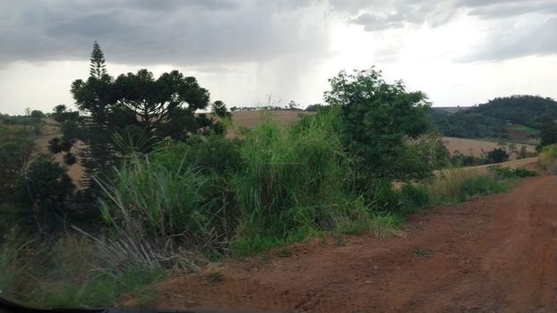 Foto 4 do(a) Fazenda / Sítio / Chácara false à venda em Centro, Rolândia