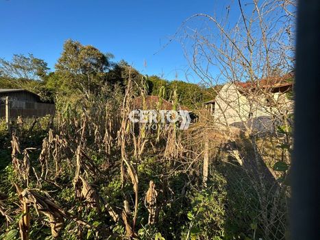 Foto 2 do(a) Terreno false à venda em São Luiz, Sapiranga