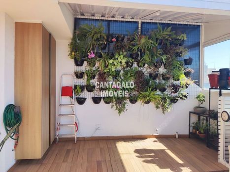Foto 4 do(a) Apartamento de 3 quartos à venda em Vila Gomes Cardim, São Paulo