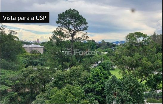 Foto 13 do(a) Apartamento de 3 quartos à venda em Vila Indiana, São Paulo