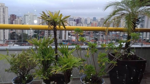 Foto 3 do(a) Cobertura de 4 quartos à venda em Chácara Inglesa, São Paulo