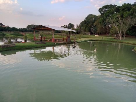 Foto 23 do(a) Fazenda / Sítio / Chácara false à venda em Área Rural de Jaguariúna, Jaguariúna