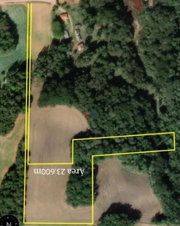 Foto 5 do(a) Fazenda / Sítio / Chácara de 1 quartos à venda em Barigui, Araucária