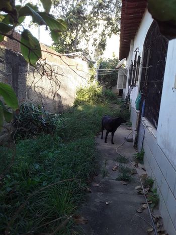 Foto 13 do(a) Casa de 4 quartos à venda em Costazul, Rio das Ostras