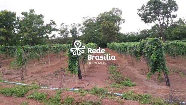 Foto 12 do(a) Fazenda / Sítio / Chácara de 2 quartos à venda em Paranoá, Brasília