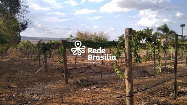 Foto 27 do(a) Fazenda / Sítio / Chácara de 2 quartos à venda em Paranoá, Brasília