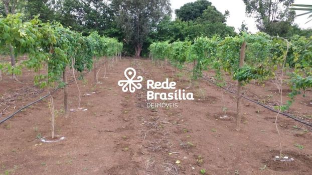 Foto 13 do(a) Fazenda / Sítio / Chácara de 2 quartos à venda em Paranoá, Brasília