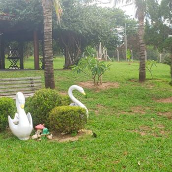Foto 15 do(a) Fazenda / Sítio / Chácara de 3 quartos à venda em Jardim Santa Maria, Piratininga